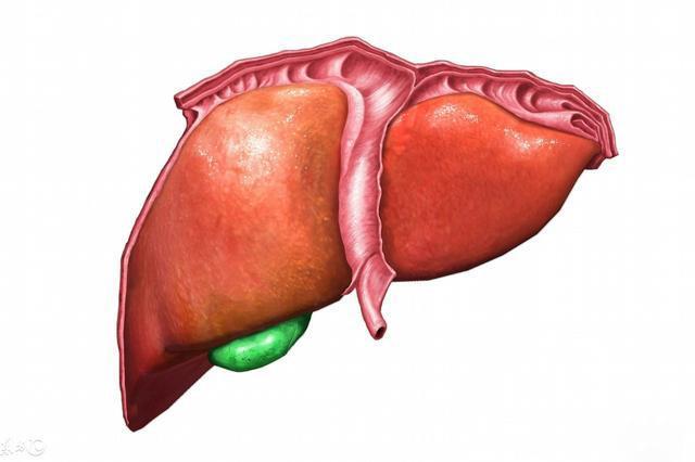 肝脏受伤的有力”证明“看5点，医生建议养肝护肝需常做2件事！
