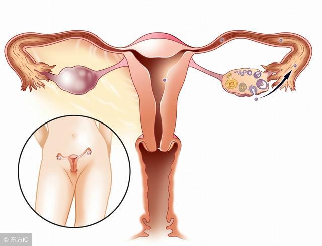 4个小方法可以算排卵期，这6天可是最佳受孕期！