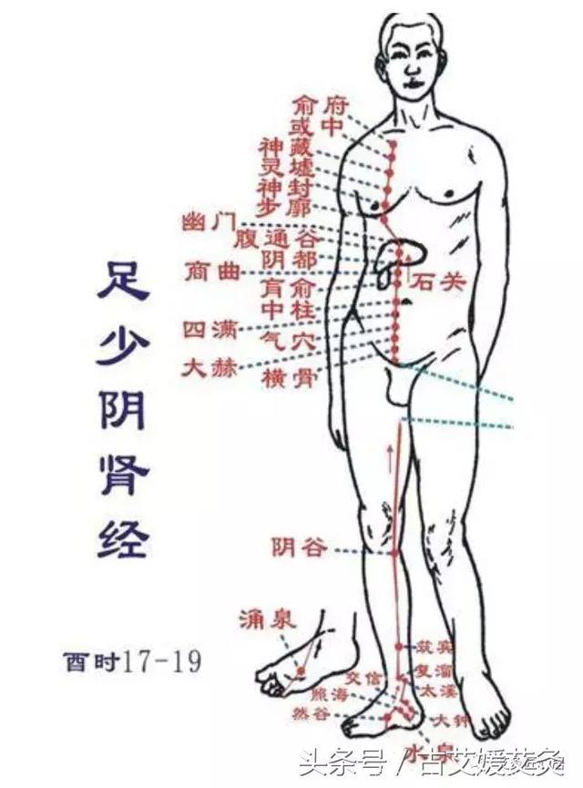 人过三十五，关节必须补。艾灸对路，延长膝盖寿命40年！