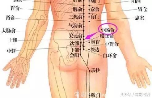 人体穴位大全——小肠俞穴：小腹胀痛、遗精、遗尿、疝气、盆腔炎
