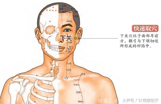 穴位养生｜耳聋、耳鸣、牙痛、口眼歪斜按揉下关穴 口耳保健穴