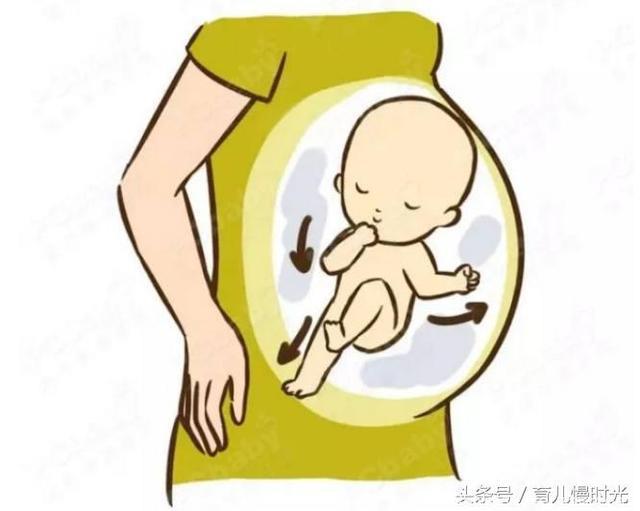 孕期说胎动：你动的多，我心跳快；你动得少，我心跳吓到要停了！