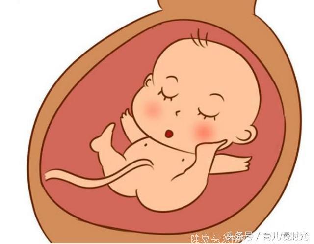 孕期说胎动：你动的多，我心跳快；你动得少，我心跳吓到要停了！