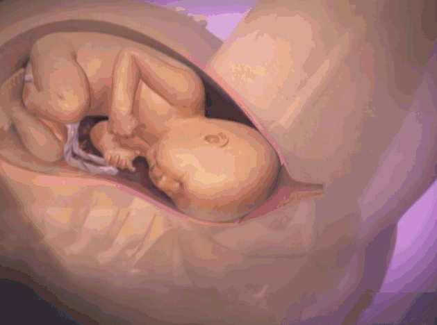 孕妇在产房不是一个人在战斗，其实肚子里的宝宝也在努力，看哭了