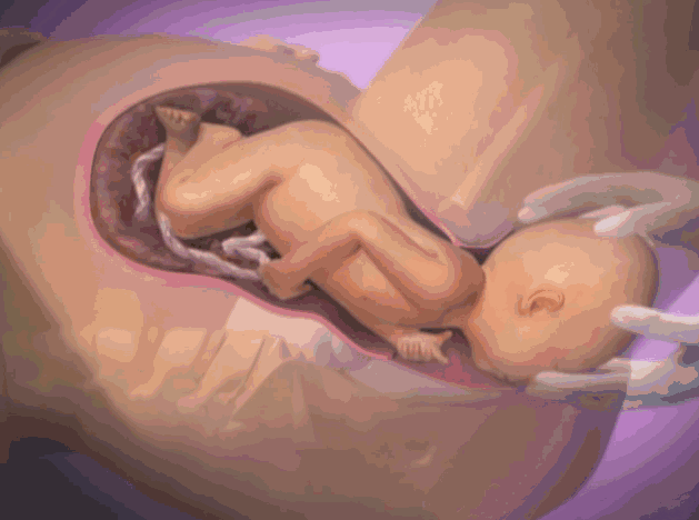 孕妇在产房不是一个人在战斗，其实肚子里的宝宝也在努力，看哭了