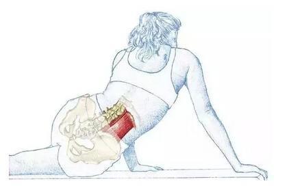 腰部不适疼痛 该选择什么样的瑜伽体式