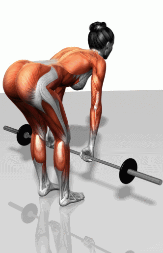 6大练背动作，让你练到背部每块肌肉！你常做哪个动作？