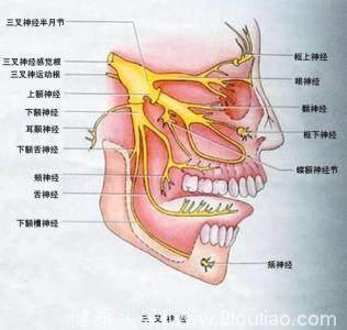 什么是三叉神经痛？三叉神经痛的诊断和针灸治疗方法  ​