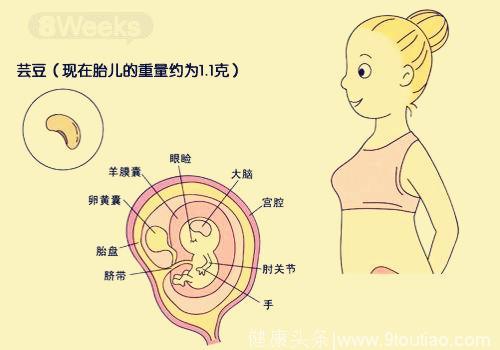 怀孕期间分阶段补充好这四种物质，宝宝身高蹭蹭长！