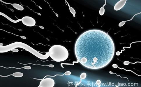美国试管婴儿让精子更精增加怀孕几率 宝宝会更健康！