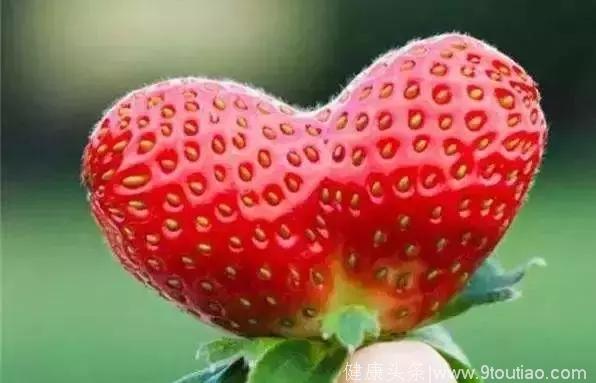 草莓控看过来！天津最新草莓园全在这了！泥萌组好队了么？！