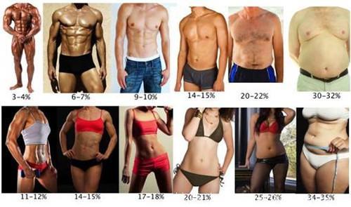 减脂前你知道体脂有几种吗？完美的身材不是体脂越低越好！