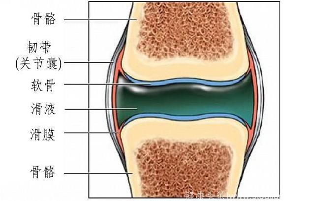 春治滑膜炎：“黄金抻膝法”，去除膝盖上下楼疼，坚持十天！