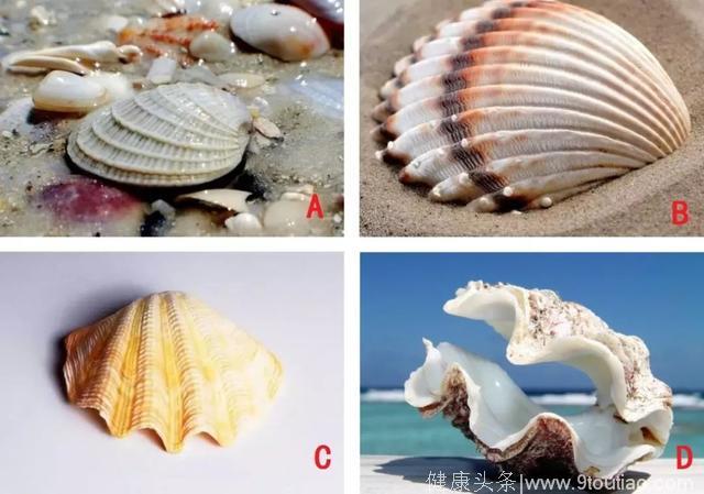 心理测试：选一个你喜欢的漂亮贝壳，测你最近有啥好运