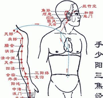 老祖宗的十二经络养生，要收藏