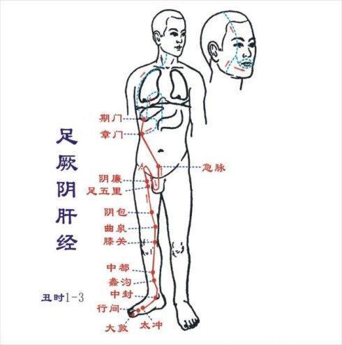 老祖宗的十二经络养生，要收藏