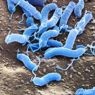 7亿中国人感染了这种细菌 胃癌正一步步接近你！