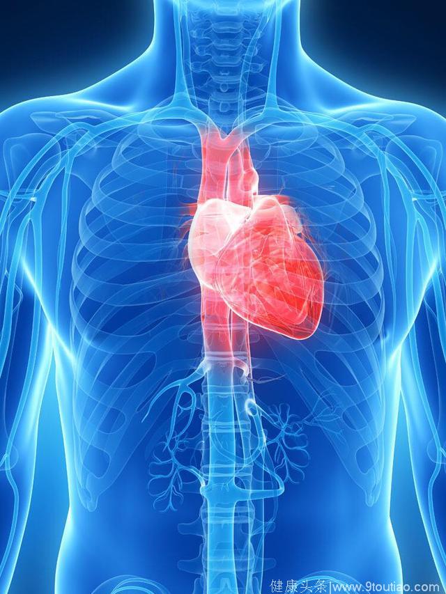 肌瘤不只长在子宫里，也会出现在大血管，甚至心脏！