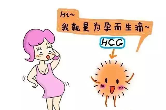 郑州不孕不育讲解，怀孕快，不流产，弄清HCG和孕酮是关键