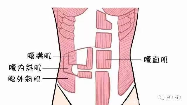 唐嫣露脐上热搜，她都这么瘦了为什么还没有马甲线？