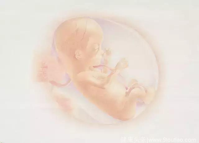 怀孕1-10月胎儿生长发育图, 看看胎宝宝可爱模样