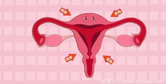 怀孕初期，为什么胎儿容易畸形？预防胎儿畸形的防护手册请收藏
