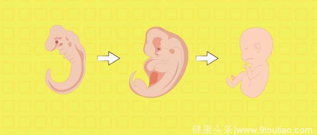 怀孕初期，为什么胎儿容易畸形？预防胎儿畸形的防护手册请收藏