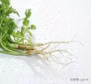 五种蔬菜根，中医好帮手，养生好疗效