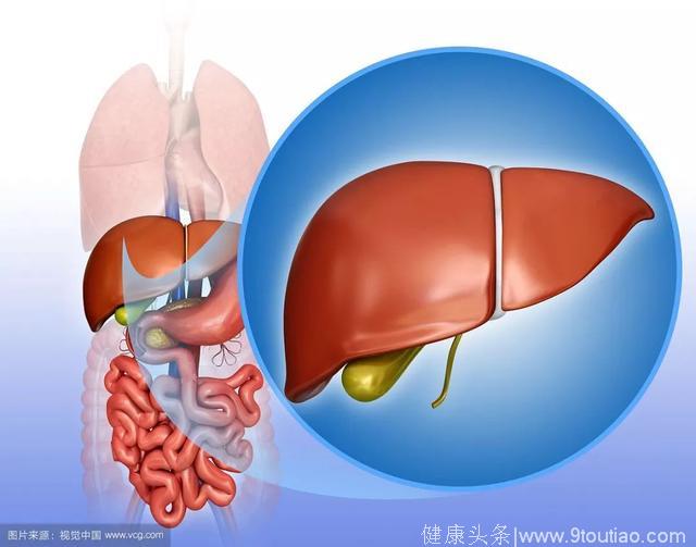 “保肝药”也可“伤”肝