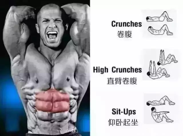 6张图，告诉你每块腹肌应该怎么练？