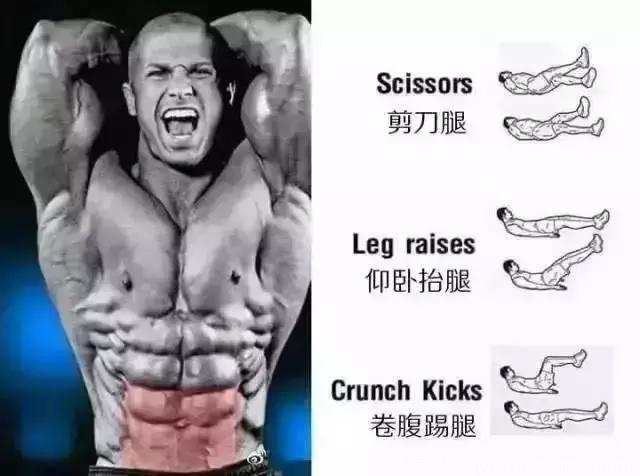 6张图，告诉你每块腹肌应该怎么练？