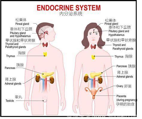 爸妈都不矮，怎么娃就是长不高？