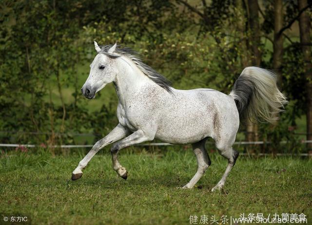 大金马：今年“头等大喜”赶紧接？马上都正月低了，不接就没了