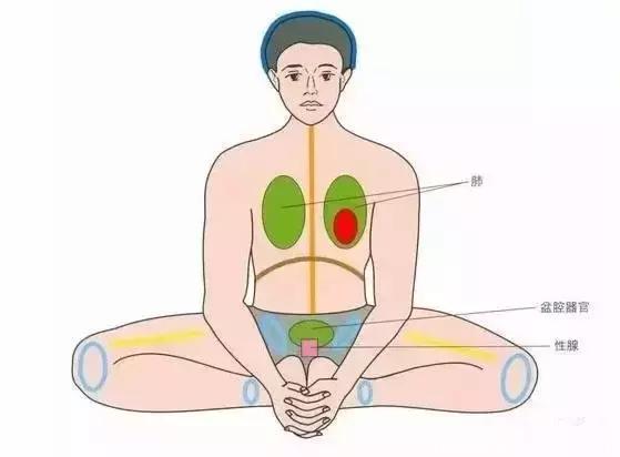 瑜伽蝴蝶式：保养男人前列腺，调节泌尿功能、缓解坐骨神经痛