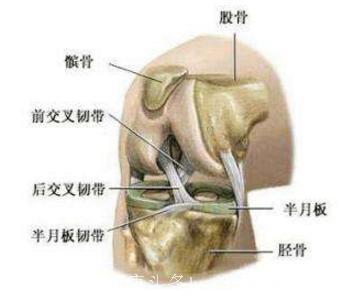 膝关节炎，上楼难！每天10分钟 膝关节就能好起来 为家人存起来