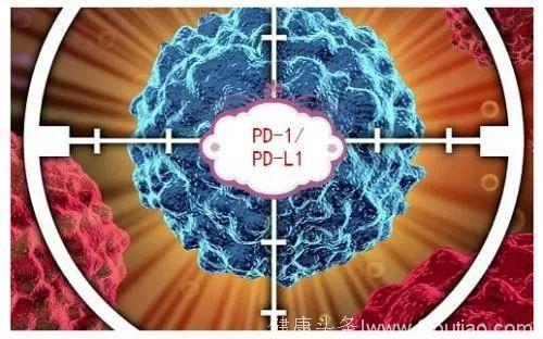 PD-L1三篇长文！癌症免疫治疗到底是肿瘤细胞还是宿主免疫细胞表达的PD-L1起作用？