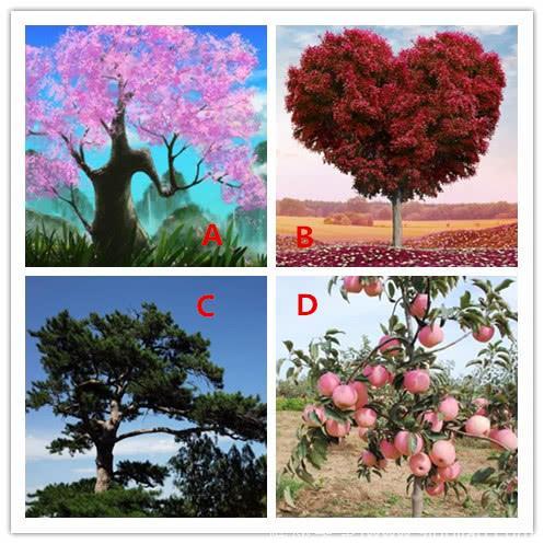 心理测试：你会栽下哪棵树？看今年你会收获哪方面的成功！