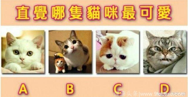 心理测试：选出你觉得最可爱的猫咪，测出你给人什么感觉？