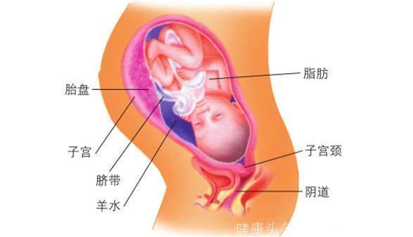 1~10个月的实用建议, 让你和胎宝宝顺利度过整个孕期