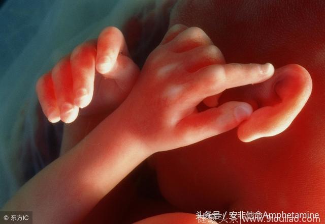 孕早期“感冒”容易导致胎儿畸形？