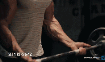 健身房器常见器械锻炼肌肉群—手臂，腰腹