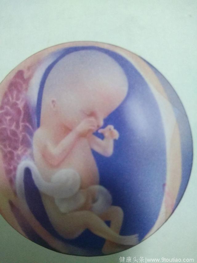 宝宝在妈妈肚子里的10个月！！！