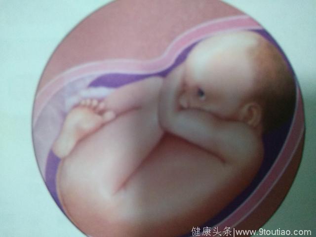 宝宝在妈妈肚子里的10个月！！！