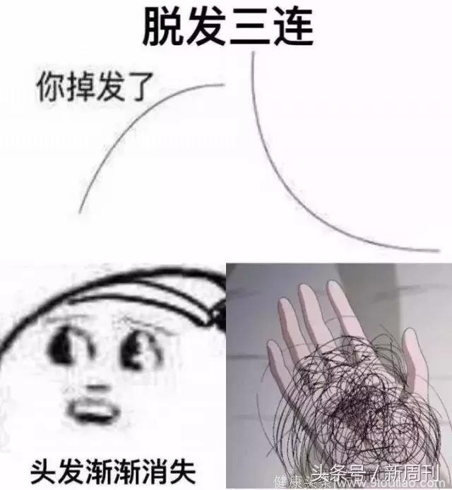 脱发，其实是养生的终极秘笈