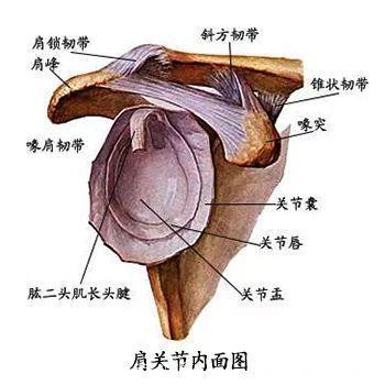 用这个方法深度开肩，比练100遍牛面式都管用！「打卡02」