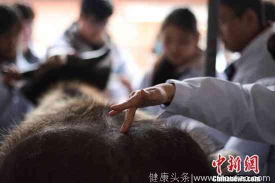 南京农业大学开设中兽医学课程：学习给牛针灸