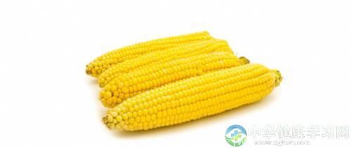 多吃玉米可养生？玉米烙的做法和营养