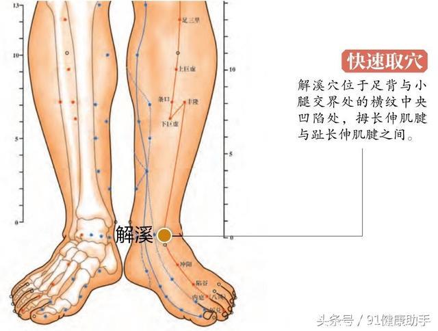 穴位养生｜牙疼、头痛眩晕、胃肠炎按解溪穴，清胃化痰、镇静安神