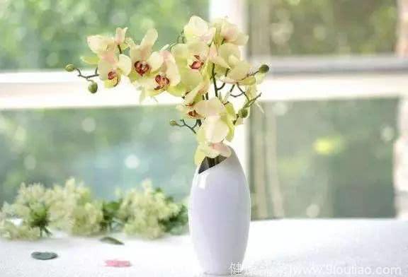 心理测试：你会把哪个花瓶放客厅？测出你的婚姻能维持多久！