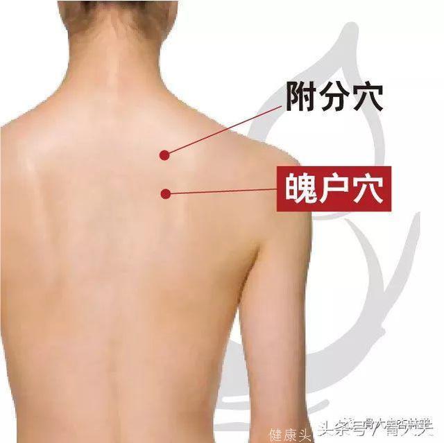 穴位经络祛百病：魄户穴治疗肩背痛、项强
